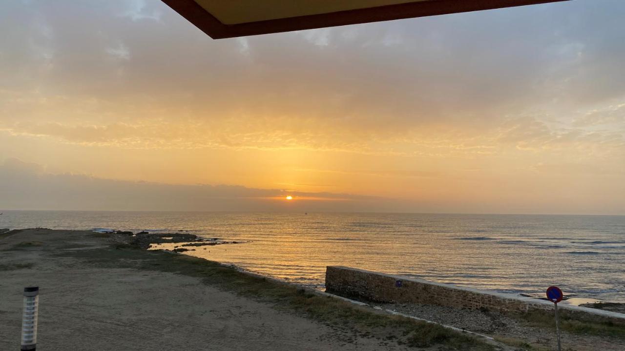 Beachfront Apartment - La Mata Торевиеха Екстериор снимка